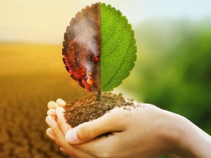 Técnico de Estudo de Impacto Ambiental / ISO 14001